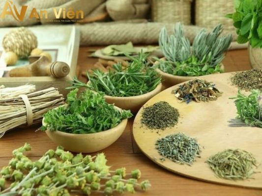 Lá cây chữa suy giãn tĩnh mạch