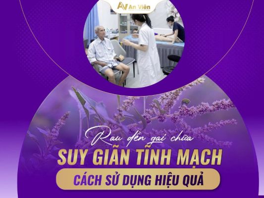 rau dền gai chữa giãn tĩnh mạch